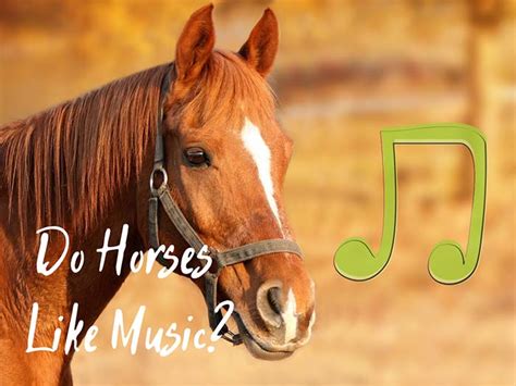 Do Horses Like Music? An Examination of the Horse’s Response to Musical Rhythms